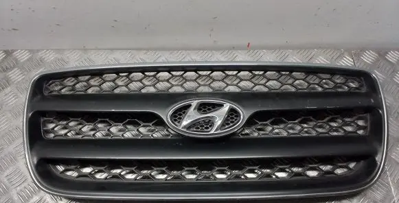 Hyundai Santa Fe Front bumper upper radiator grill E865612B000