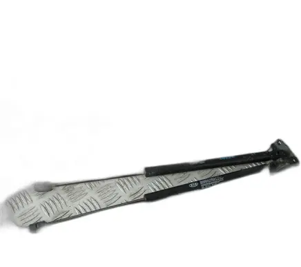 Tailgate strut
