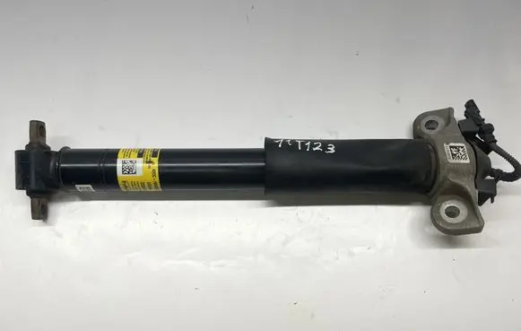 Ford Mustang VI Rear shock absorber/damper KR3C18W003TA