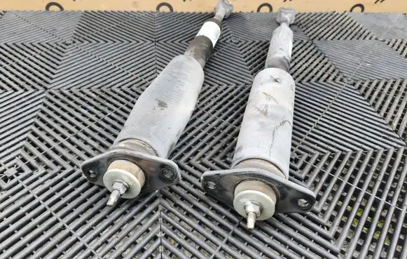 Dodge Challenger Rear shock absorber/damper 52830