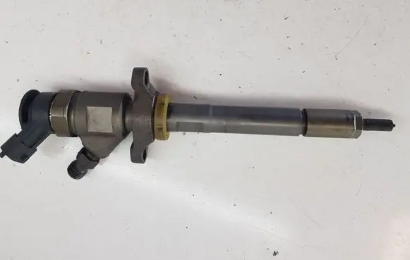 Citroen C3 Picasso Fuel injector 0445110311
