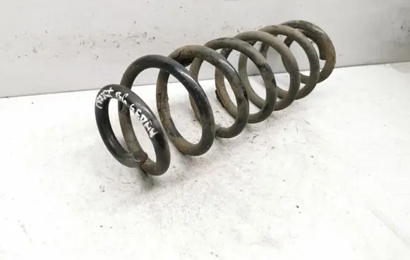 Volkswagen PASSAT B6 Rear coil spring