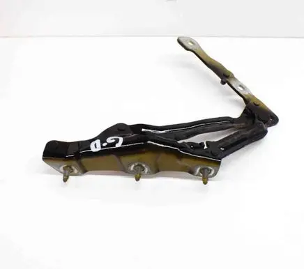 Tailgate/trunk/boot hinge