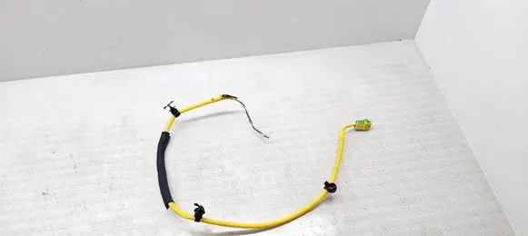 KIA Niro Roof airbag
