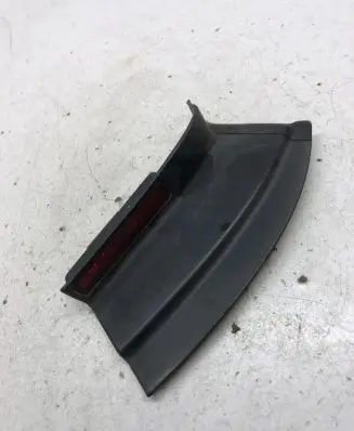 Rear/tail light trim molding