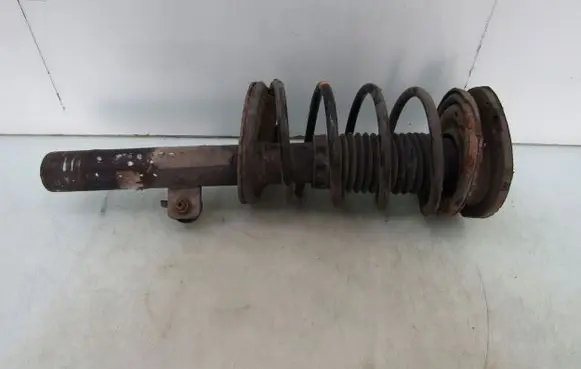 Peugeot 206 Rear shock absorber with coil spring 