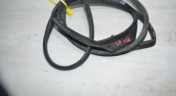 Hyundai i20 (GB IB) Front door rubber seal 