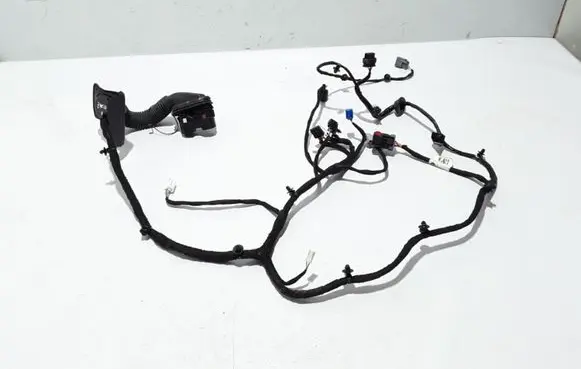 Chrysler Pacifica Other wiring loom 68445789AA