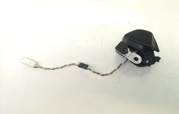 Front door high frequency speaker