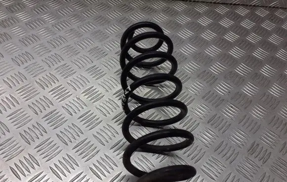 Seat Leon (1M) Rear coil spring BRAK