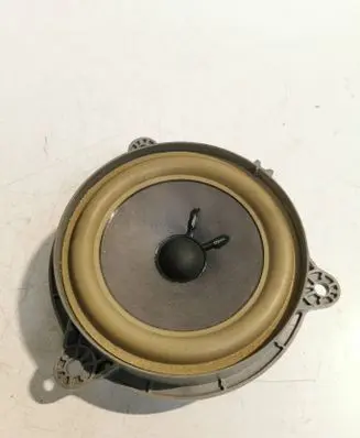 Rear door speaker