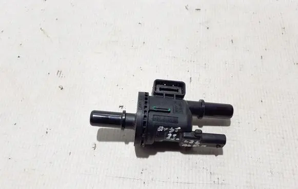 Renault Austral Valve 149305385R
