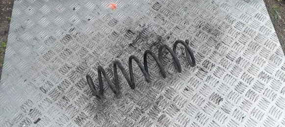 Renault Megane III Rear coil spring