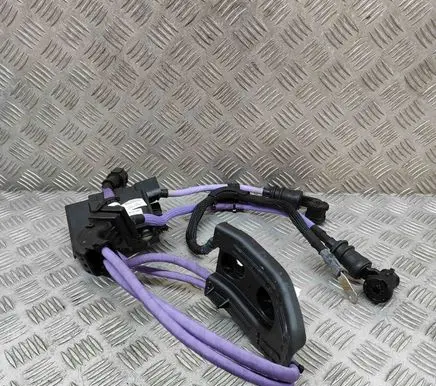 BMW 4 G22 G23 G24 G26 Other wiring loom 5A38495