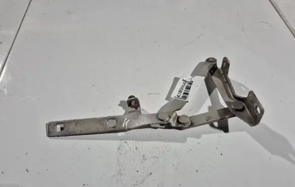 Tailgate/trunk/boot hinge