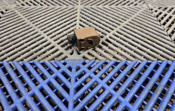 Lexus RX 330 - 350 - 400H Sensor 8974752010 0689004450