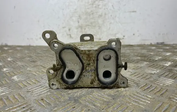 Nissan Qashqai Oil filter mounting bracket 213055917R