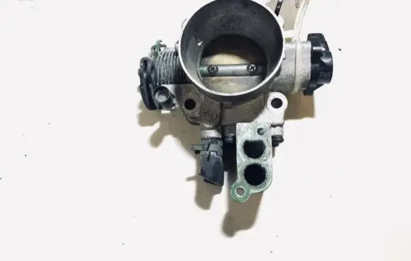Hyundai Trajet Throttle valve
