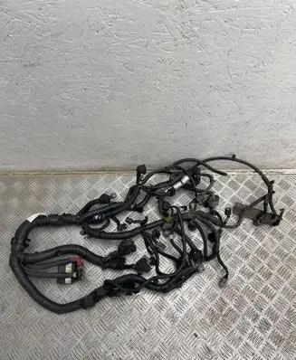 Nissan Juke I F15 Engine installation wiring loom 