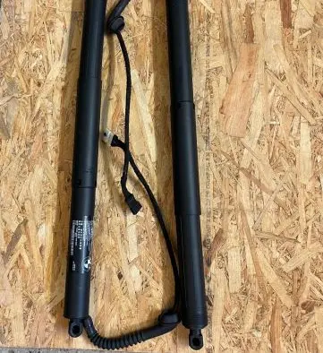Tailgate strut
