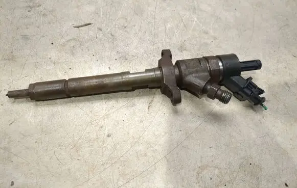 Citroen C4 I Fuel injector 0445110239