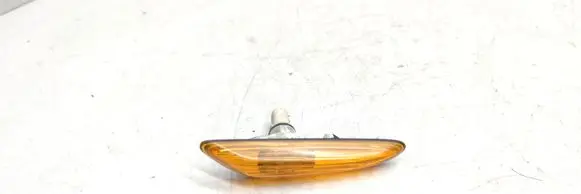 Front fender indicator light