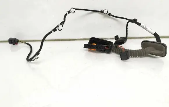 Rear door wiring loom
