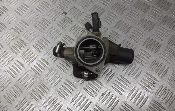 Thermostat/thermostat housing