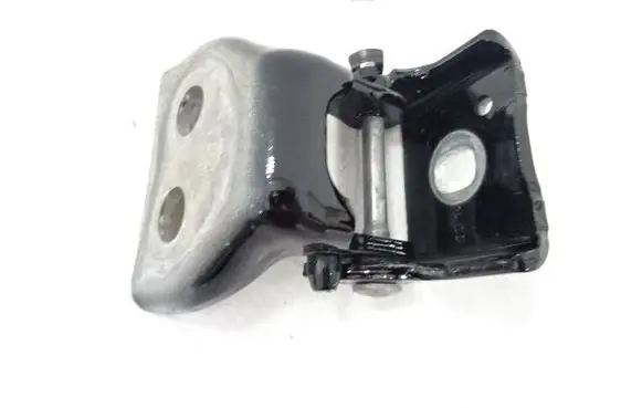 Rear door lower hinge