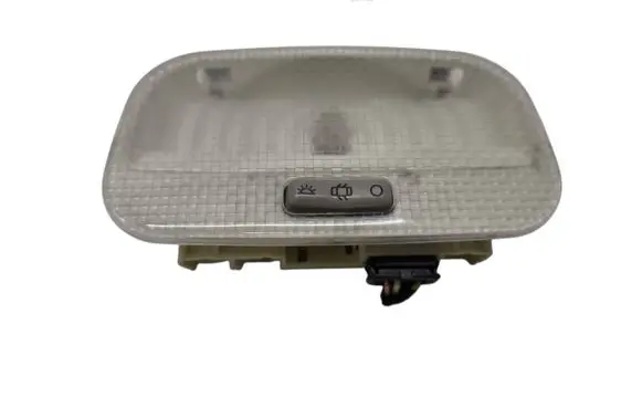 Rear seat light