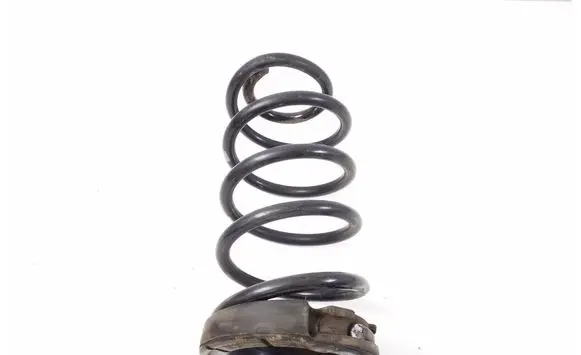 Hyundai Santa Fe Rear coil spring 553502W390