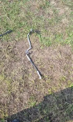 Ford Fiesta Air conditioning (A/C) pipe/hose 1500654