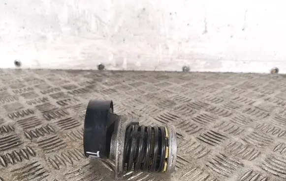 Volkswagen Tiguan Generator/alternator belt tensioner 038903315AH