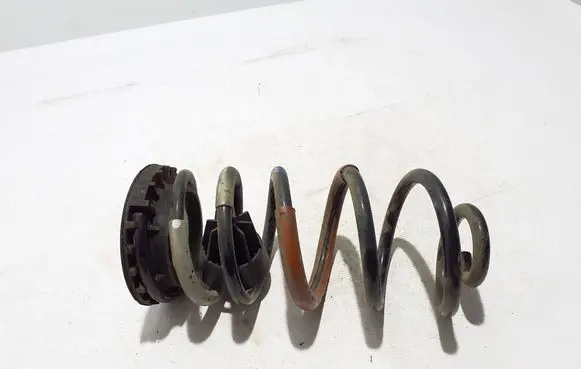 Rear coil spring