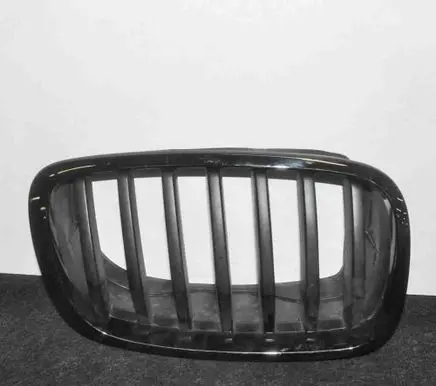 BMW X6 E71 Front grill 7171396