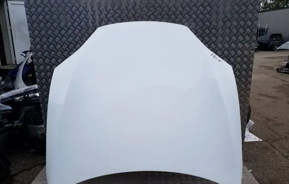 Tesla Model S Engine bonnet/hood