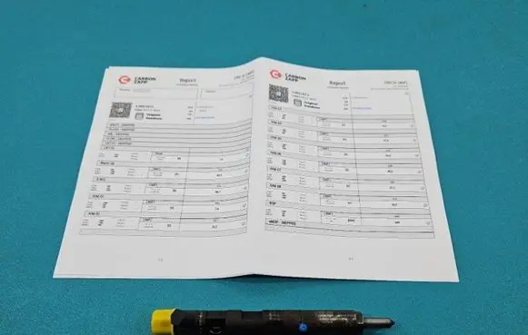 Renault Megane II Fuel injector EJBR01801A IMPRK1439429