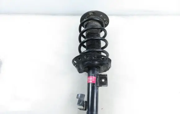 Ford Galaxy Front shock absorber with coil spring