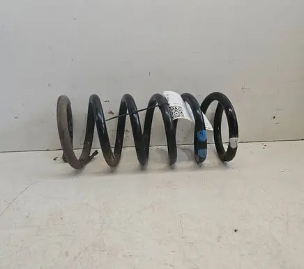 Rear coil spring