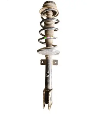 Dacia Duster II Rear shock absorber with coil spring 562107298R
