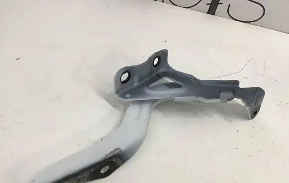 Lexus RX V Engine bonnet/hood hinges