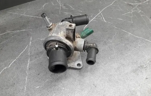 Fiat Doblo Thermostat/thermostat housing 55202373