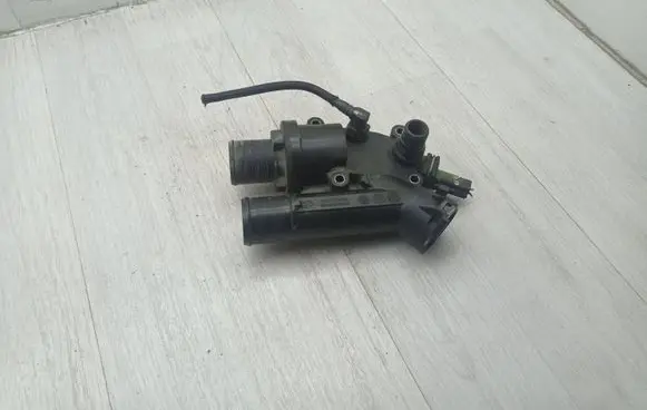 Thermostat/thermostat housing