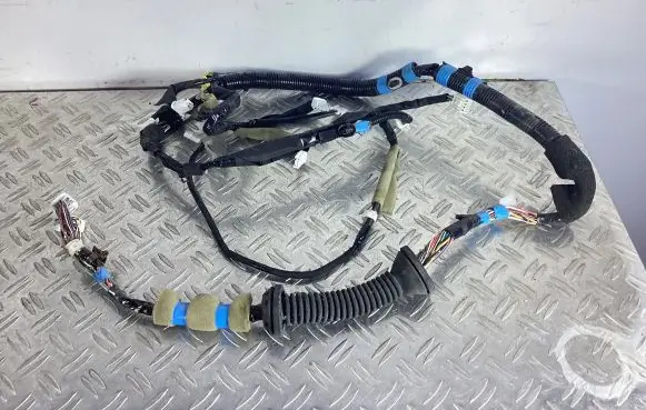 Lexus RX 450H Front door wiring loom 8215248760