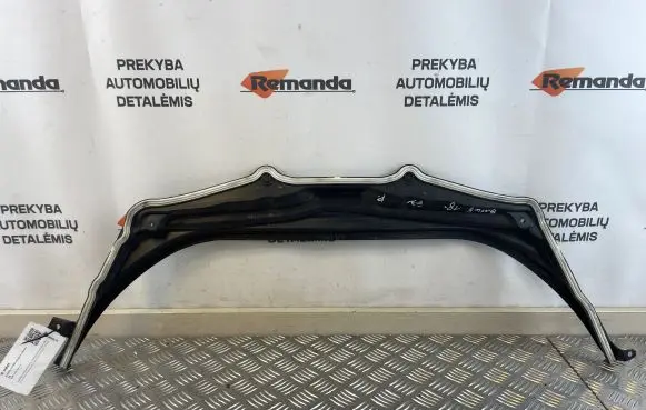 Engine bonnet/hood lock trim molding
