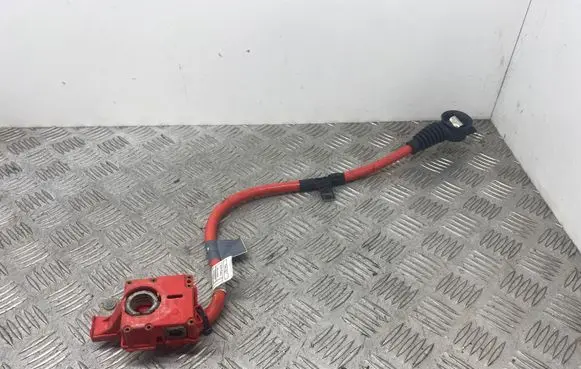 BMW 7 F01 F02 F03 F04 Positive cable (battery) 9217033