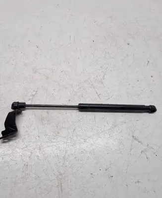 Chevrolet Captiva Rear window strut damper 82553881300