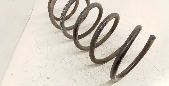 Front coil spring