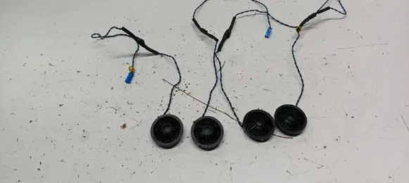 BMW X3 F25 Subwoofer speaker 18820010