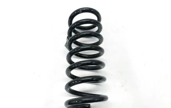 Rear coil spring